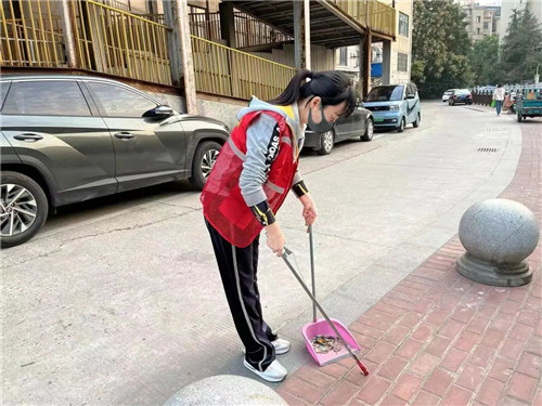 环境卫生整治1.jpg