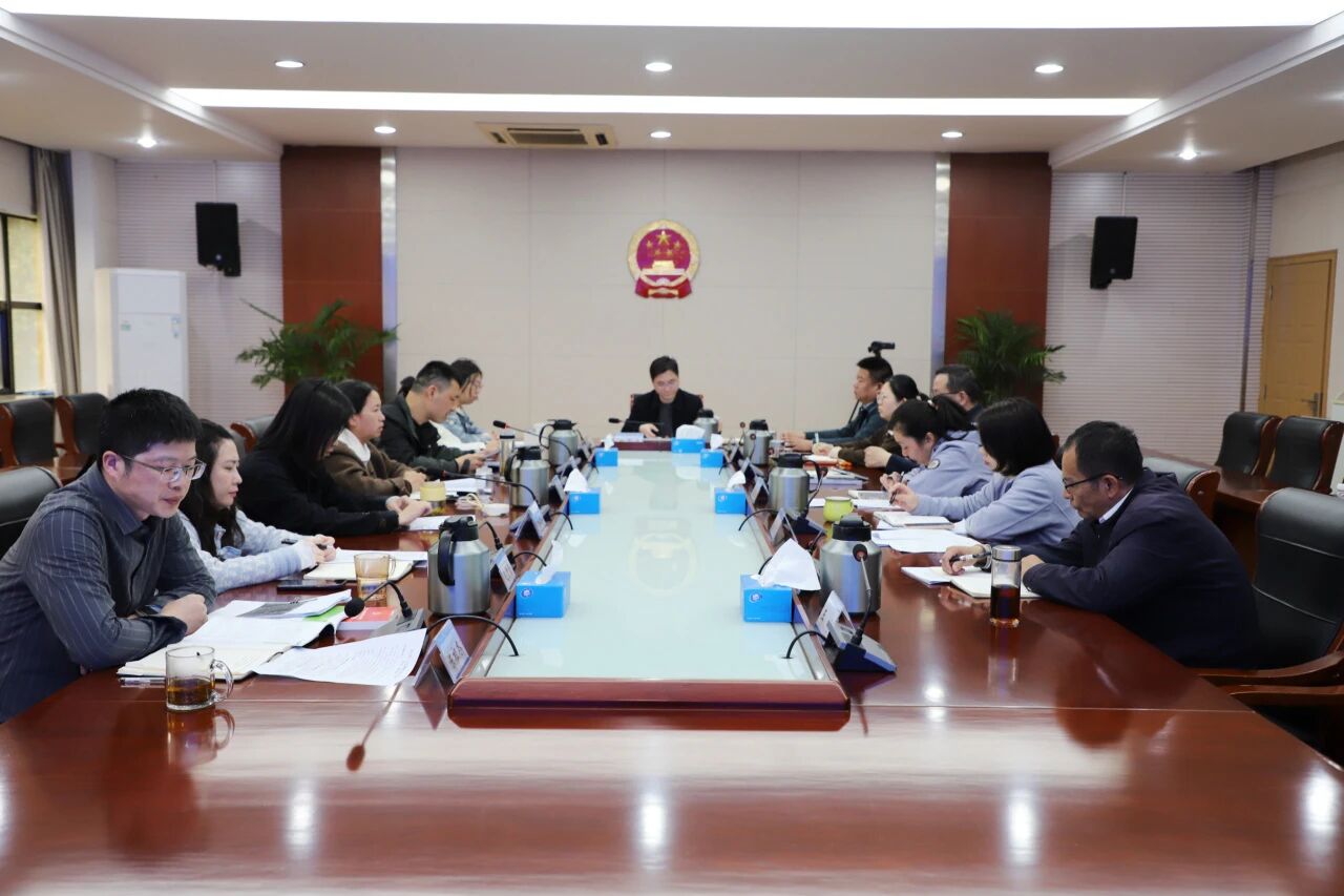 专题会商.jpg