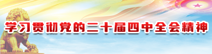 四中全会